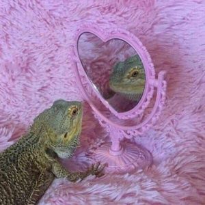 Meet your Posher, Freedom